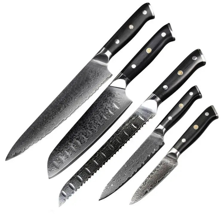 5 Stück 67 Lagen Damaststahl Messerset G10 Griff