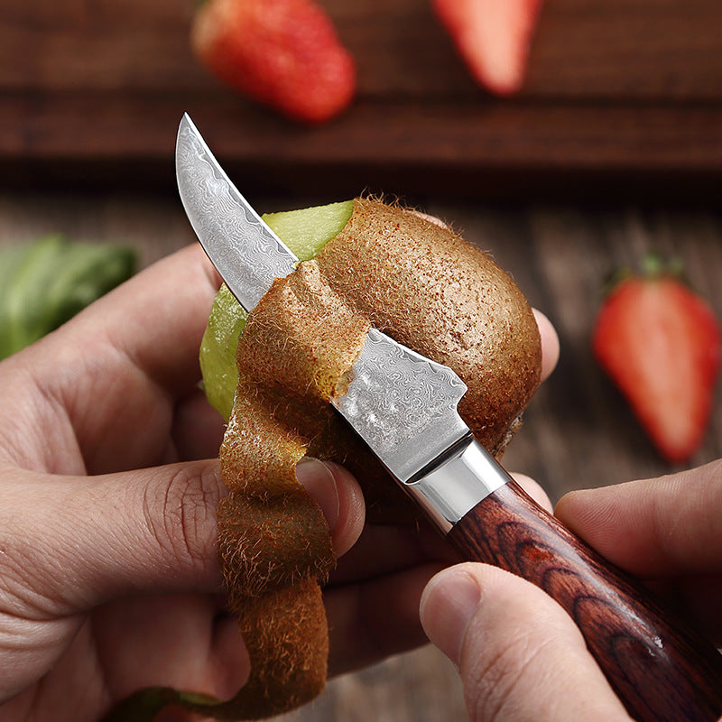 L Series 3-Inch Curved Paring Knife, Damascus Steel, Wood