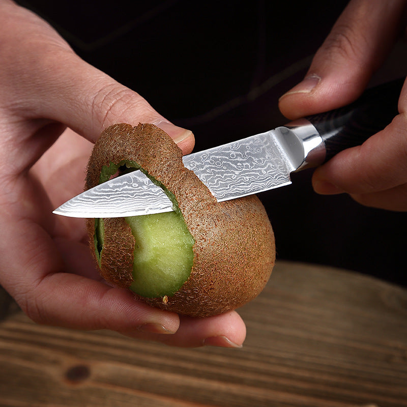 L Series 3.5-Inch Paring Knife, Damascus Steel, Wood