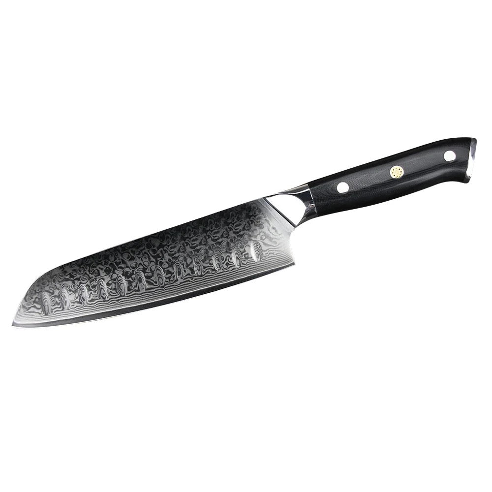 5 Stück 67 Lagen Damaststahl Messerset G10 Griff