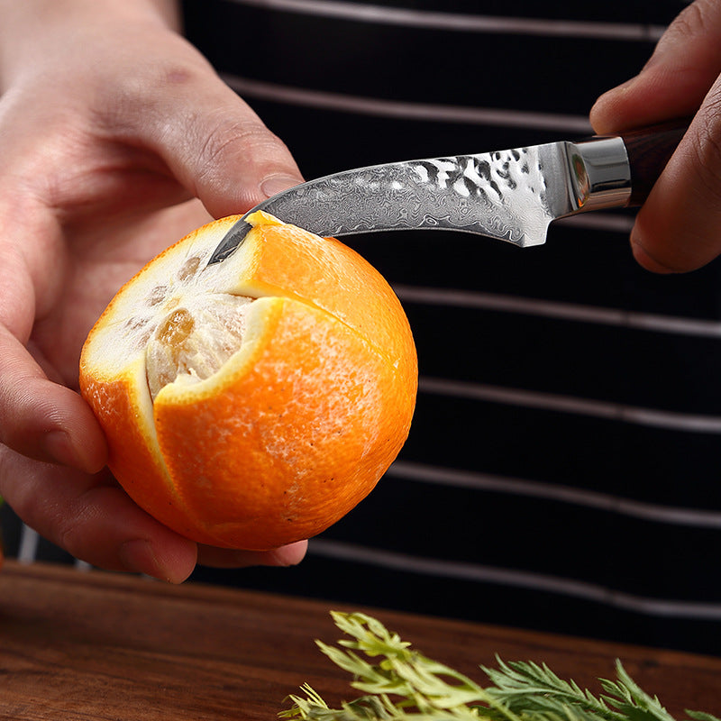 L Series 3-Inch Curved Paring Knife, Damascus Steel, Wood