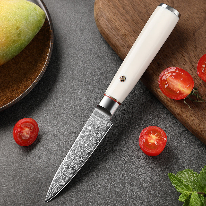 T Series 3.5-Inch Paring Knife, Damascus Steel, ABS, White