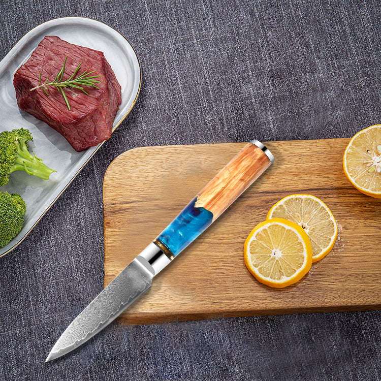 Ensemble de 9 couteaux de chef de cuisine en acier Damas VG10