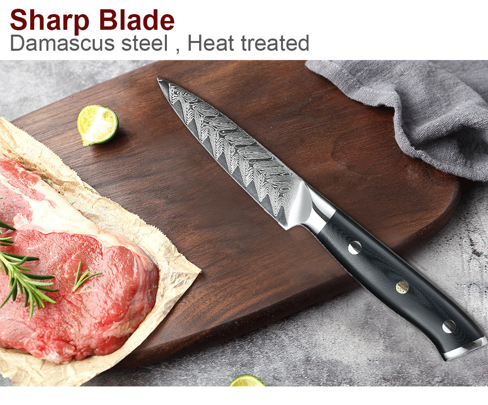 Classic 3.5-Inch Paring Knife, Damascus Steel, G10