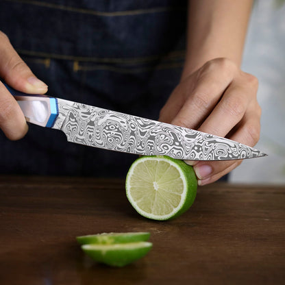 Custom 5-Inch Utility Knife, Damasteel Powder Steel, Titanium&Mother of Pearl