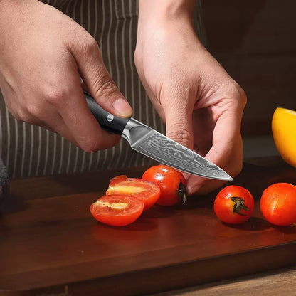 Classic 3.3-Inch Paring Knife, Damascus Steel, G10