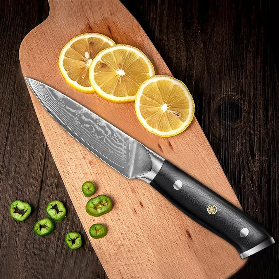 Classic 3.3-Inch Paring Knife, Damascus Steel, G10