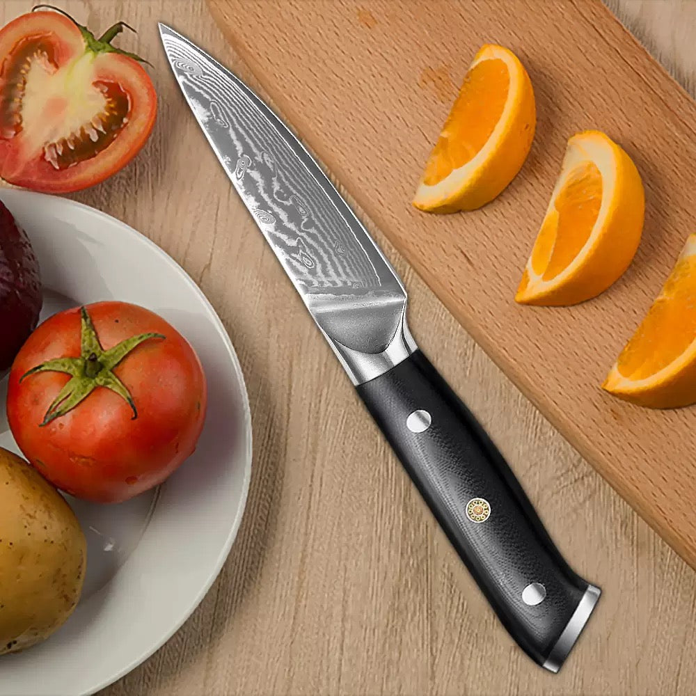 Classic 3.3-Inch Paring Knife, Damascus Steel, G10