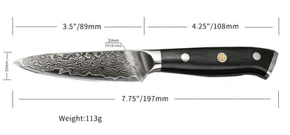 Juego de cuchillos de acero de Damasco de 5 piezas 67 capas Mango G10