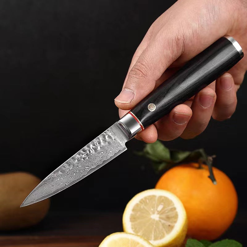T Series 3.5-Inch Paring Knife, Damascus Steel, Wood, Black