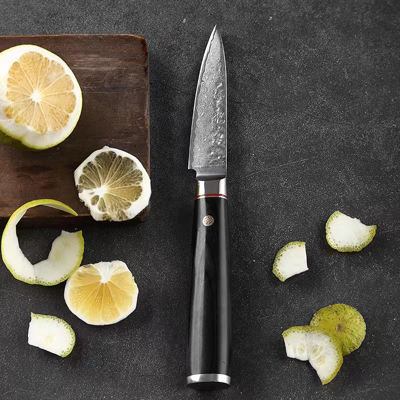 T Series 3.5-Inch Paring Knife, Damascus Steel, Wood, Black