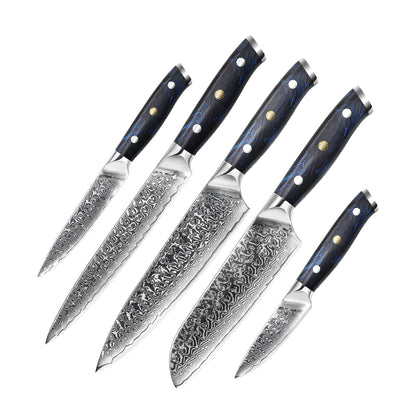 5-teiliges Damastmesser-Set mit Full Tang G10 Griff