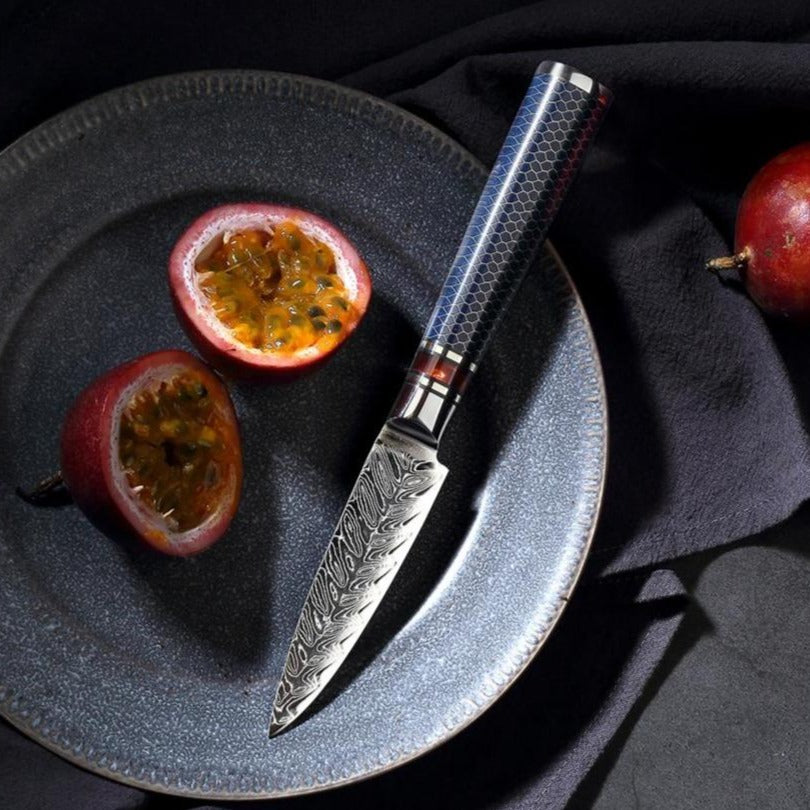 Cuchillo para mondar de acero de Damasco VG10 con mango de panal de resina de 3,5 "