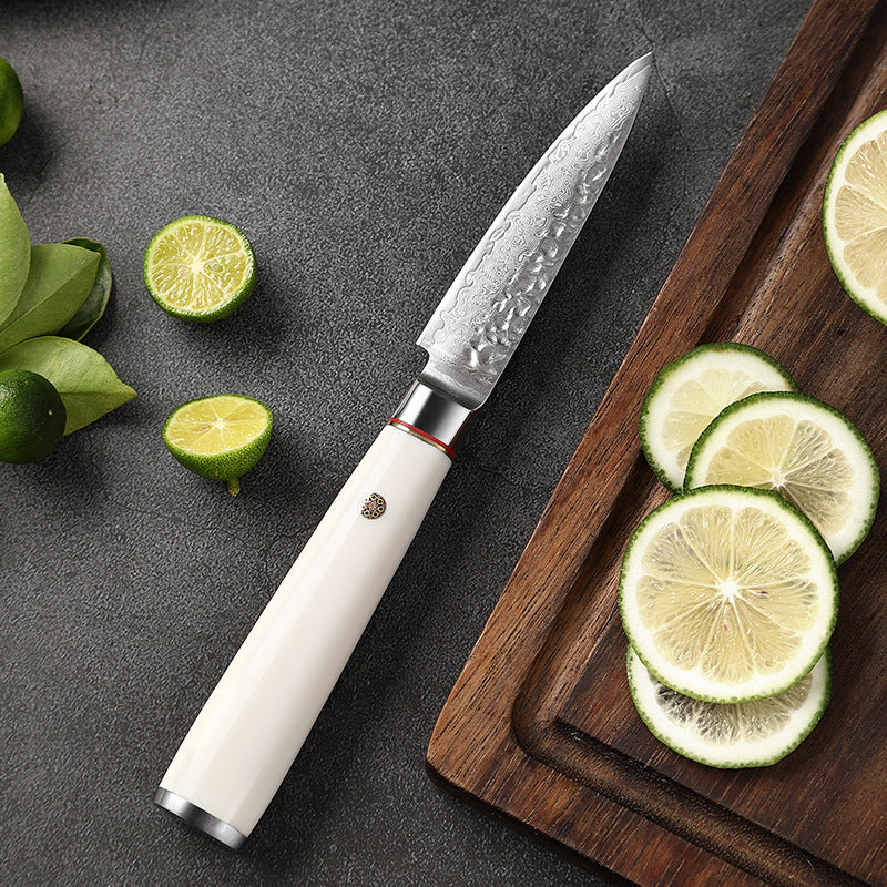 T Series 3.5-Inch Paring Knife, Damascus Steel, ABS, White