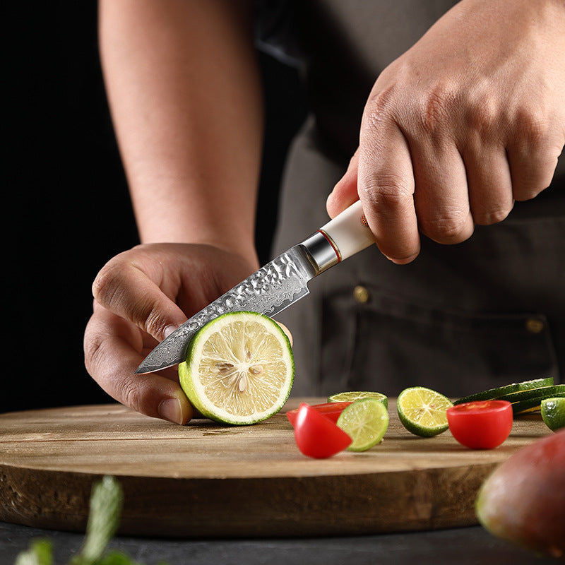 T Series 3.5-Inch Paring Knife, Damascus Steel, ABS, White