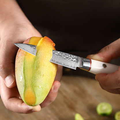 T Series 3.5-Inch Paring Knife, Damascus Steel, ABS, White