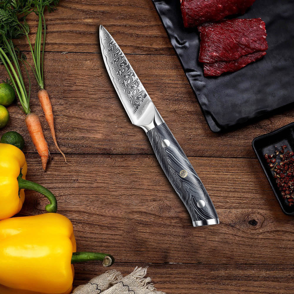 Cuchillo para mondar Damasco VG10 de 3,5 "Mango G10
