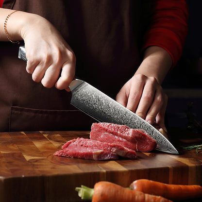 Cuchillo de chef Damasco de 8 "67 capas Mango G10