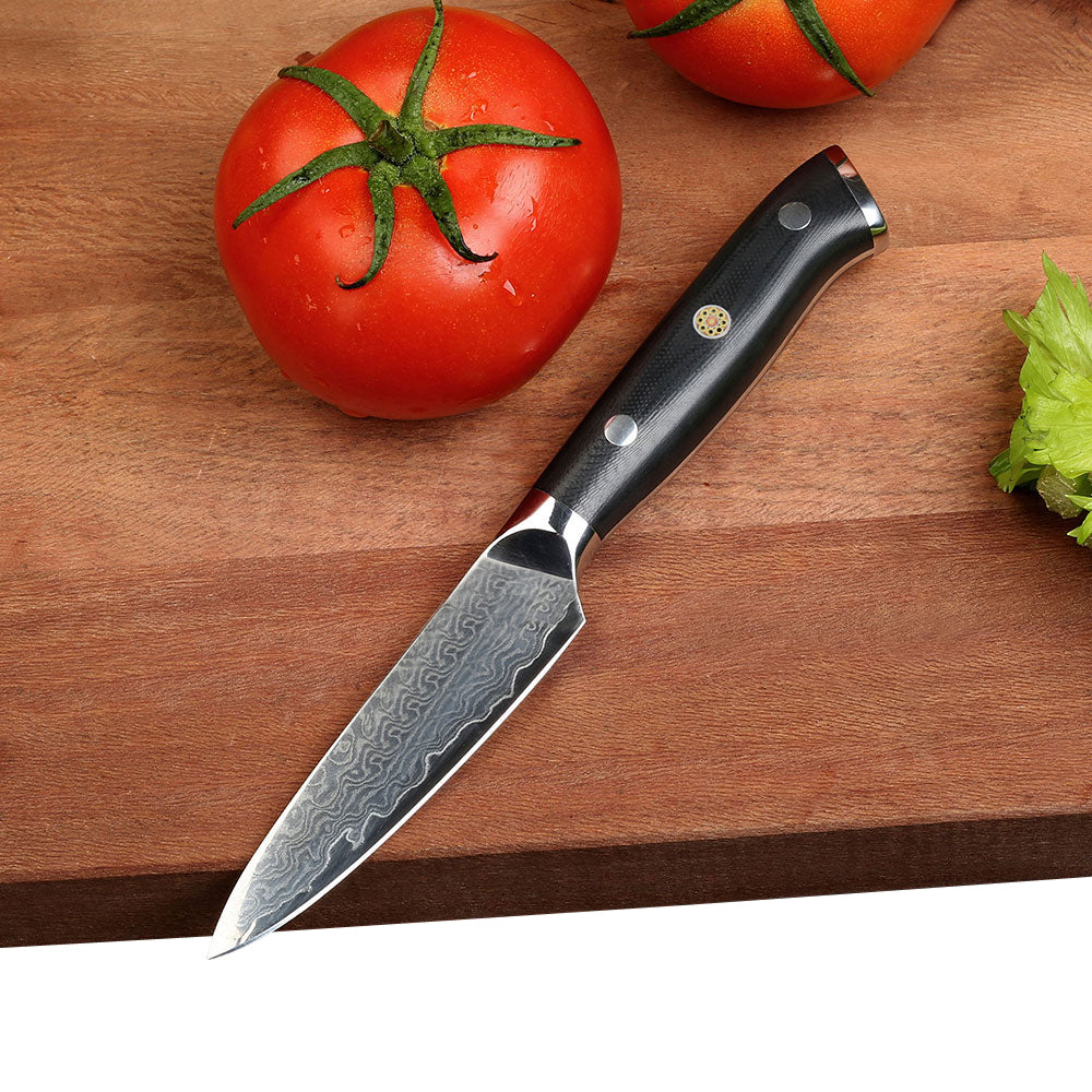 Classic 4-Pieces Knife Set, Damascus Steel, G10