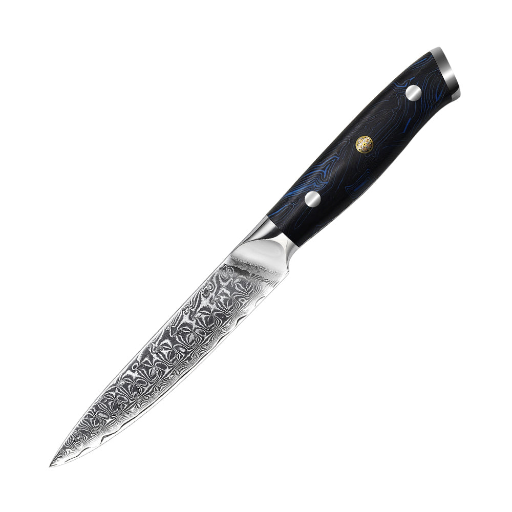 5-teiliges Damastmesser-Set mit Full Tang G10 Griff