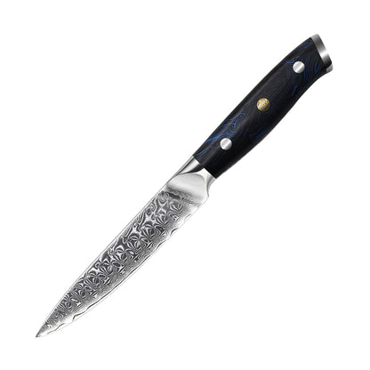 5-teiliges Damastmesser-Set mit Full Tang G10 Griff