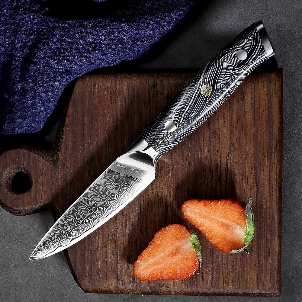 Damascus HK - 5 Piece Kitchen Knife Set – GeeWestGlass